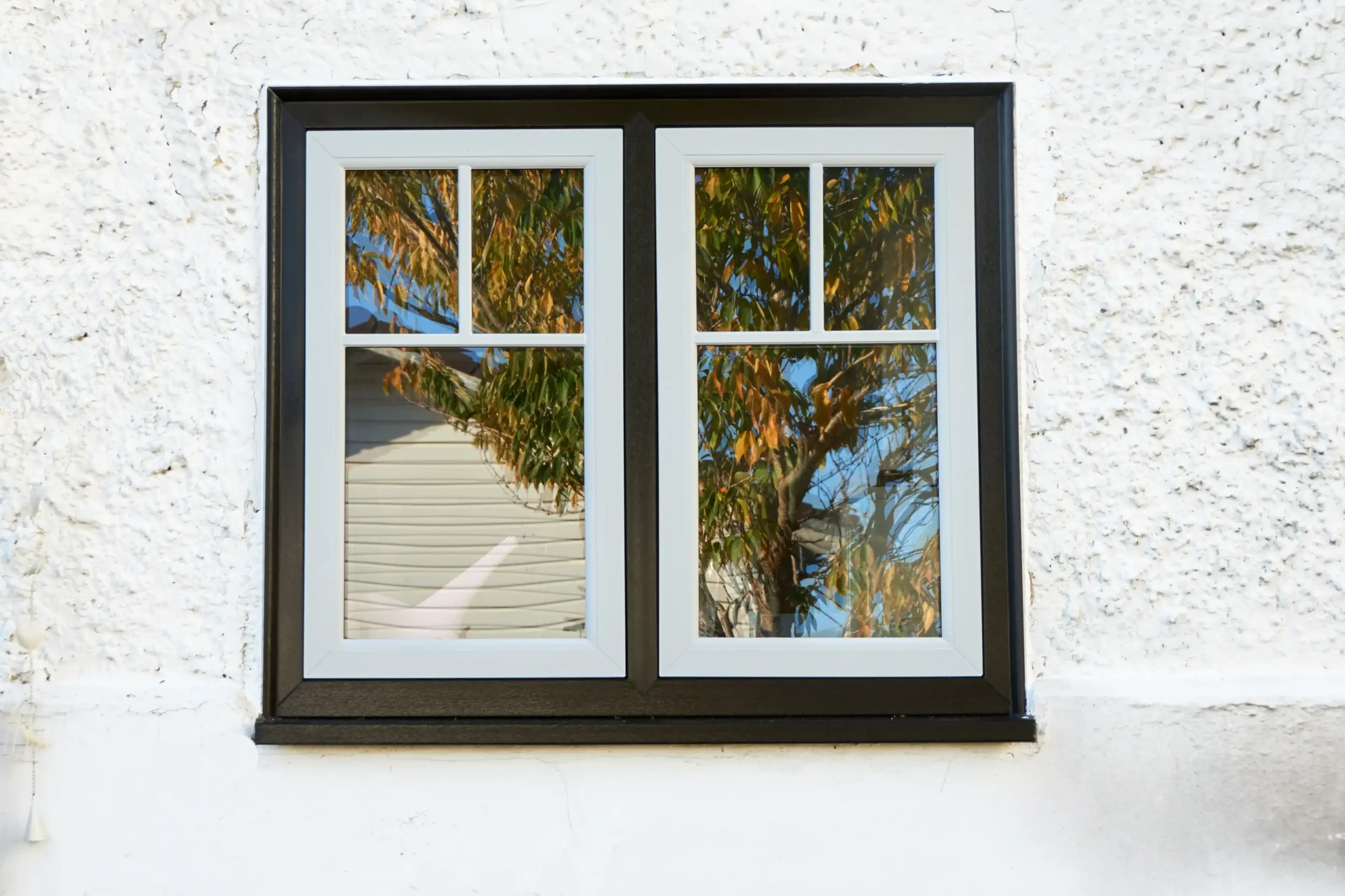 Triple Glazing Bradninch