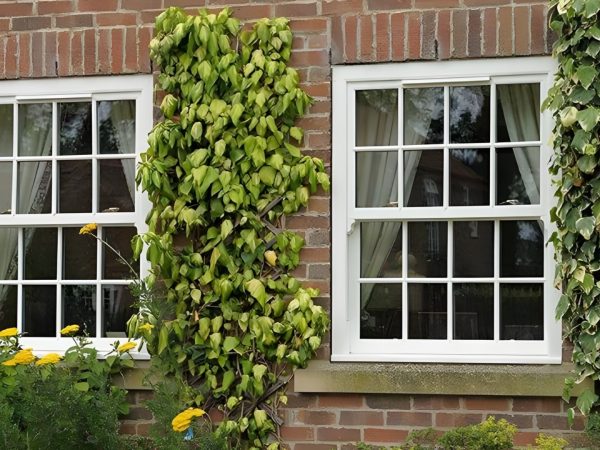 Victorian Sliders Windows